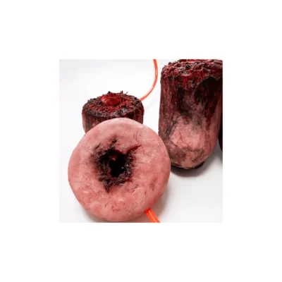 Zestaw szkoleniowy do symulacji urazów Trauma Simulation Kit